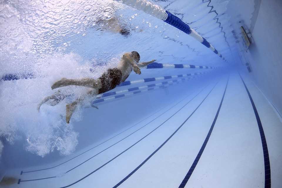 Australia has always been a force to be reckoned with in international swimming Australia has always been a force to be reckoned with in international swimming